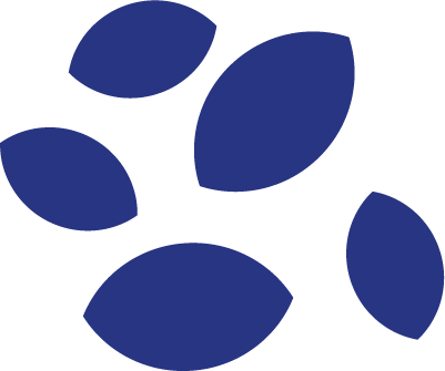 symbole graines bleues biopic agency