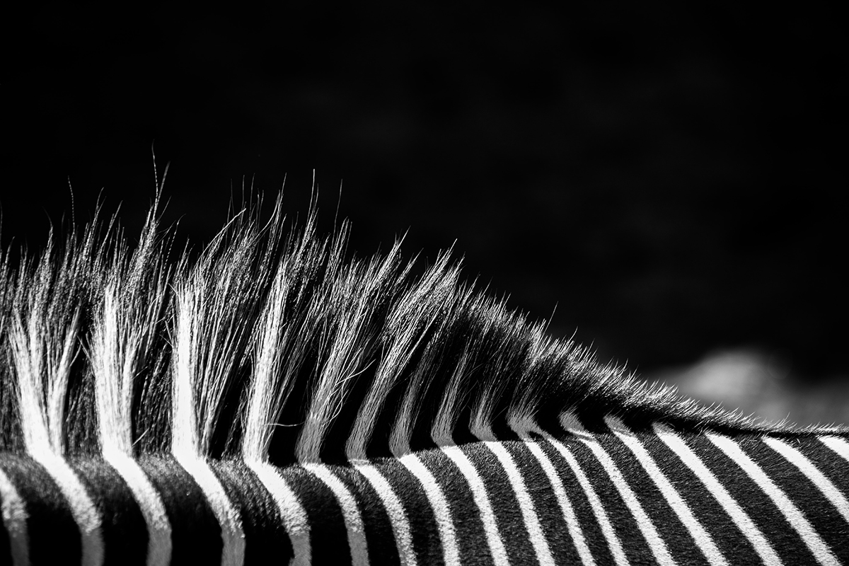 karim-manjra-nsjz_QWk0jU-unsplash