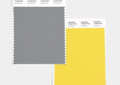 ET SI VOTRE FUTURE IDENTITÉ VISUELLE AFFICHAIT LES COULEURS PANTONE 2021 ?